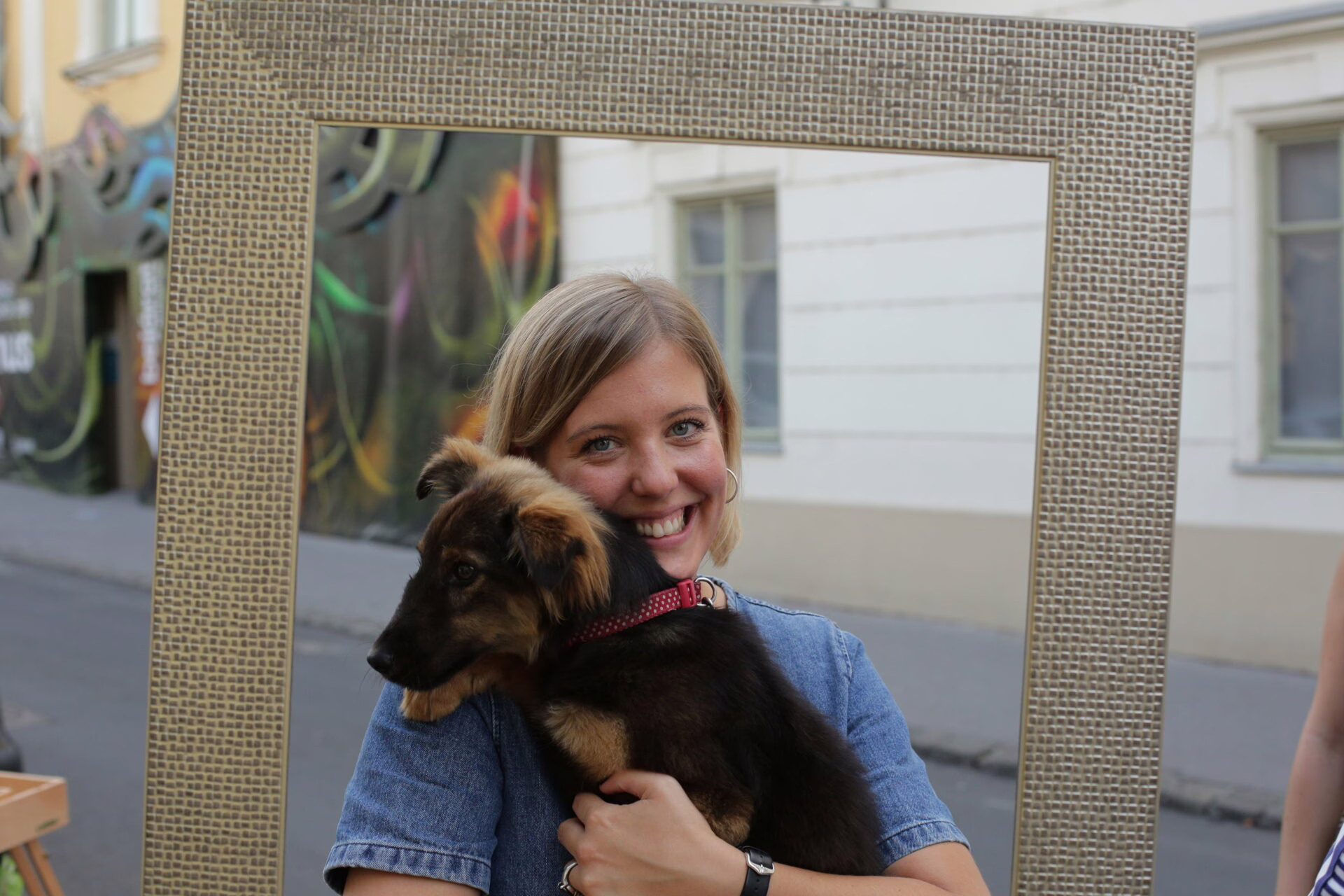 Kortárs irodalom a kirakatban