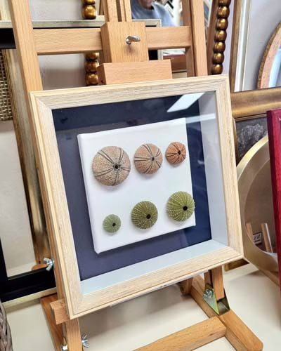 dobozkeret_targykeretezes-tengeri-csillag keretezett tengeri csillag ház