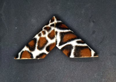 Megrendelőink kedvencei kerettípus