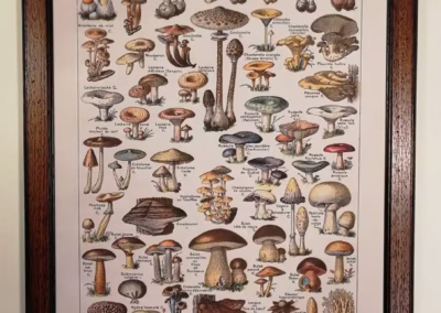 fa képkeretek. munkáink galériakép