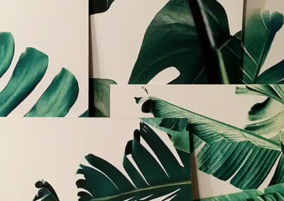vászonkép nyomtatás mintakép növénylevelek zöld