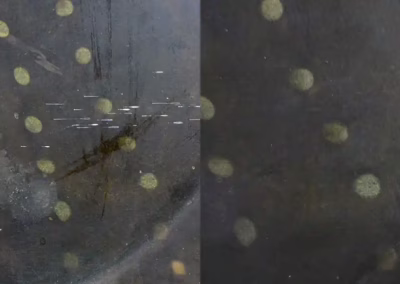 festmény restaurálás részlet előtte utána. gombok